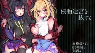 d 084536pl 320x180 - 侵胎迷宮を抜けて