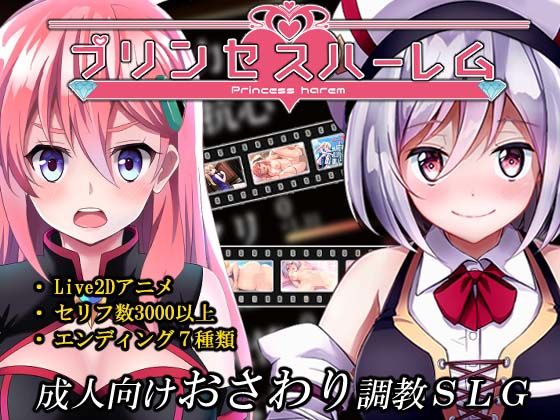 d 181722pl - プリンセスハーレム
