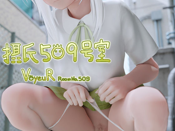 d 217208pl - 摂氏509号室