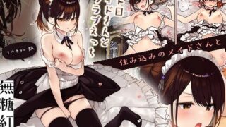 d 240209pl 320x180 - 【フルカラー版】ジト目メイドさんとラブラブえっち