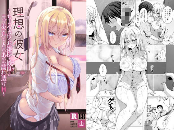 d 253571pl - 理想の彼女〜ちょろカワお嬢様・紗良とラブホテルでとろあま濡れ透けH〜