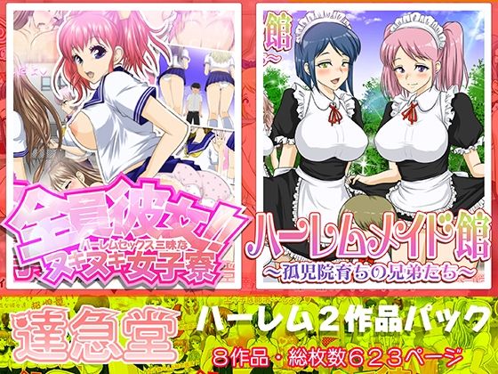 d 273253pl - ハーレムシリーズ2作品パック