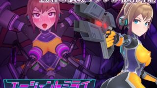 d 281202pl 320x180 - エージェントミライ
