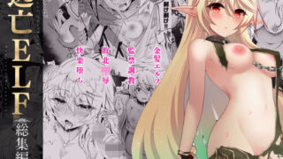 d 282720pl 320x180 - 逃亡ELF総集編II