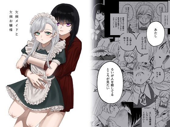 d 313883pl - 欠損メイドと欠損お嬢様