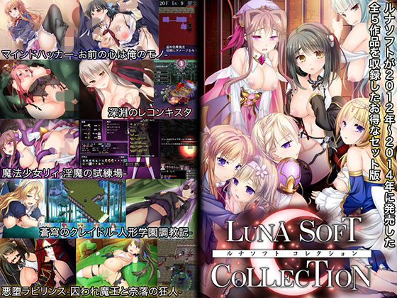 d 314619pl - ルナソフトコレクション