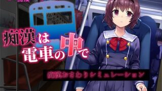 d 319919pl 320x180 - 痴●は電車の中で