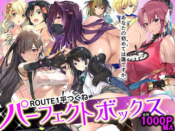 d 359811pl - ROUTE1 平つくね パーフェクトボックス