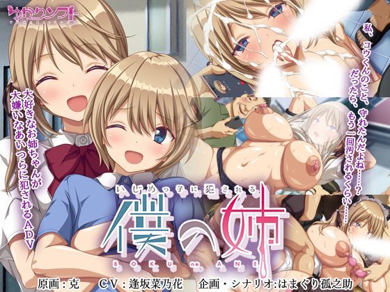d 378534pl - いじめっ子に犯●れる僕の姉