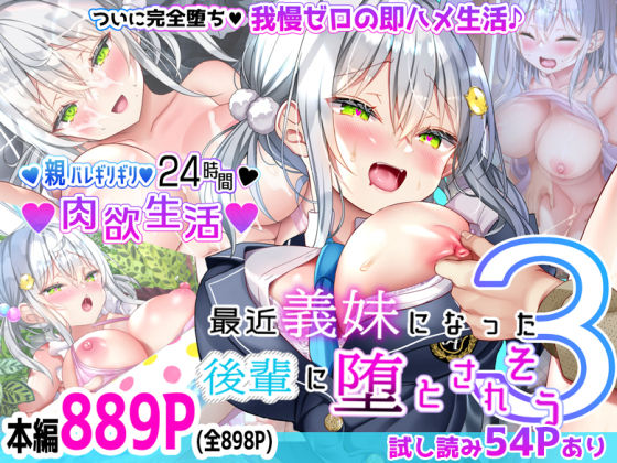 d 428792pl - 最近義妹になった後輩に堕とされそう3