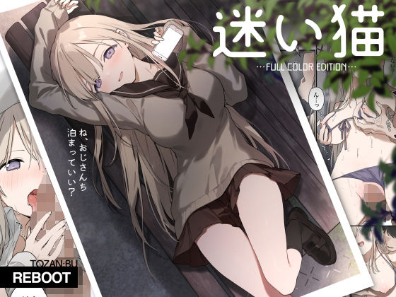 d 470365pl - 迷い猫【フルカラー版】