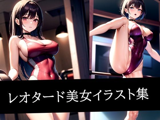 d 511351pl - レオタード美女イラスト集