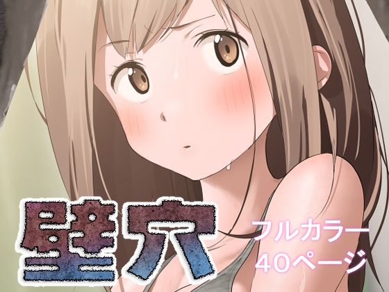 d 511701pl - 壁穴