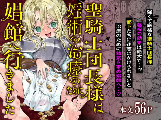 d 530878pl - 聖騎士団長様は婬術の治療のために娼館へ行きました