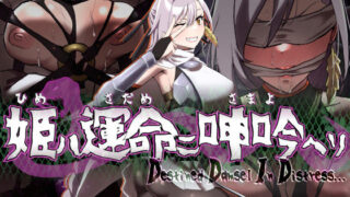 d 555367pl 320x180 - 姫ハ運命ニ呻吟ヘリ Destined Damsel In Distress