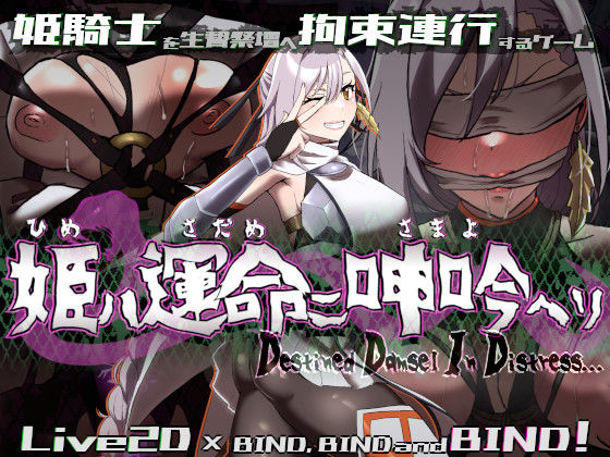 d 555367pl - 姫ハ運命ニ呻吟ヘリ Destined Damsel In Distress