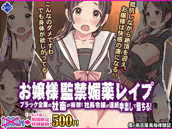 d 556416pl - お嬢様監禁媚薬レ●プ-ブラック企業の社畜が復讐！社長令嬢が連続中出しで堕ちる！-
