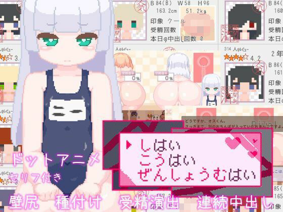 d 563822pl - しはい こうはい ぜんしょうむはい