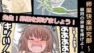 d 567019pl 320x180 - 卵巣快楽研究部〜顧問の卵巣を掌握せよ！の巻き〜