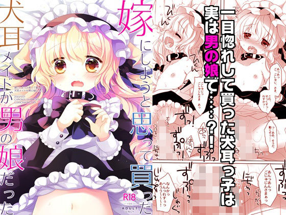 d 587370pl - 嫁にしようと思って買った犬耳メイドが男の娘だった