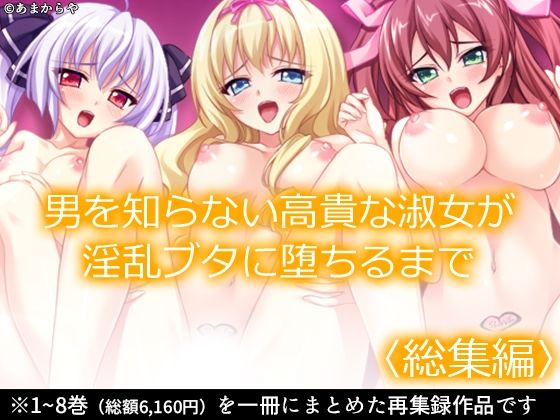 d 589664pl - 男を知らない高貴な淑女が淫乱ブタに堕ちるまで  ＜総集編＞