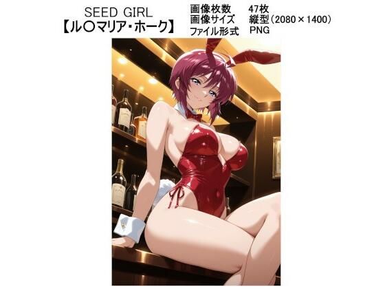 d 591329pl - SEED GIRL【ルナマ〇ア・ホーク】