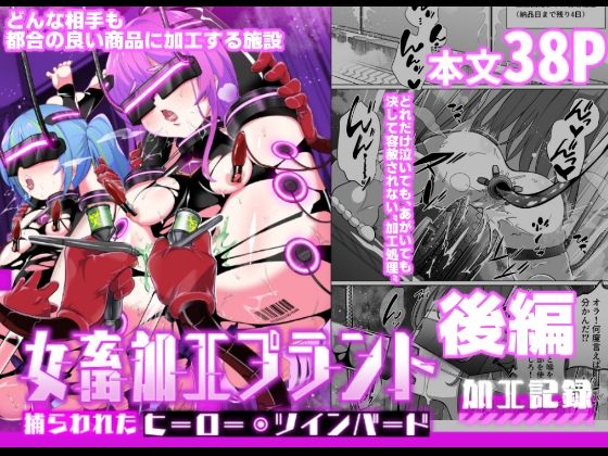 d 594644pl - 女畜加工プラント 捕らわれたヒーロー・ツインバード加工記録 後編