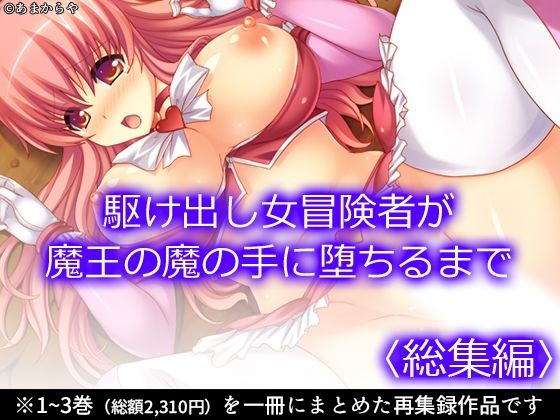 d 594646pl - 駆け出し女冒険者が魔王の魔の手に堕ちるまで  ＜総集編＞