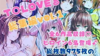 d 595345pl 320x180 - ToLOVEる総集編vol.1