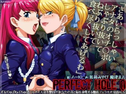 d 042865pl - パーフェクトホールQ