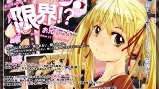 d 047353pl 320x180 - 限界！？お兄ちゃん2.5