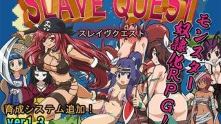 d 047880pl 320x180 - 奴●アニメRPG〜スレイヴクエスト〜ver1.3