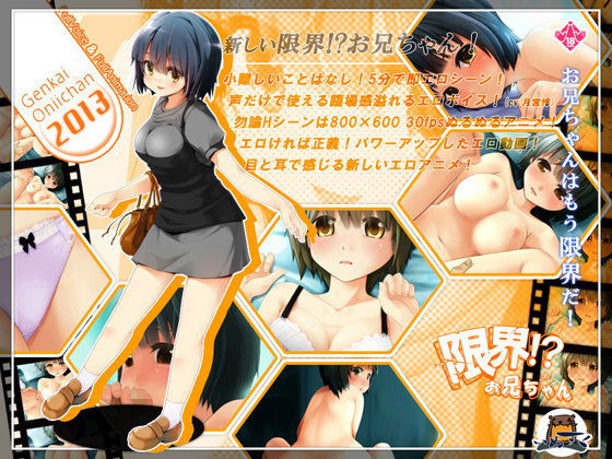 d 061788pl - 限界！？お兄ちゃん 2013