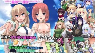 d 073866pl 320x180 - 浮遊都市の作り方-空飛ぶ風俗都市運営はじめました！-