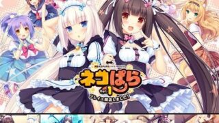 d 075819pl 320x180 - ネコぱら vol.1 ソレイユ開店しました！