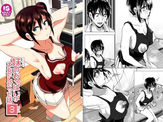 d 087869pl - 妹のおっぱいがまるだしだった話3