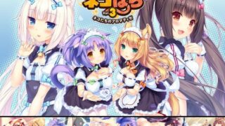 d 111656pl 320x180 - ネコぱら vol.3 ネコたちのアロマティゼ