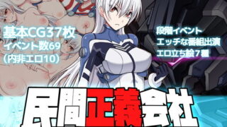 d 136834pl 320x180 - 民間正義会社2