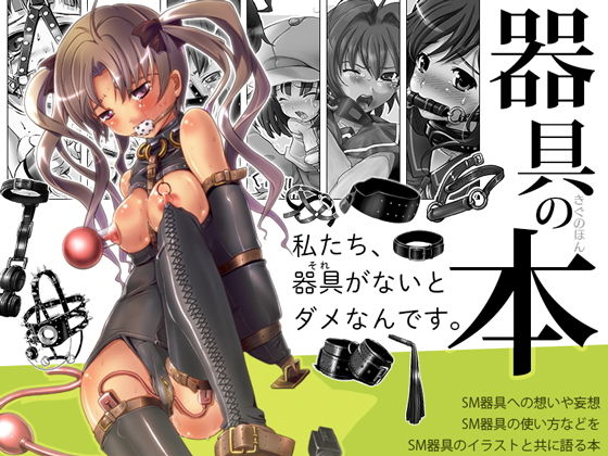 d 152816pl - 器具の本