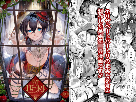 d 158688pl - 娼年バートリ