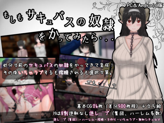 d 177389pl - もしもサキュバスの奴●をかってみたら・・・