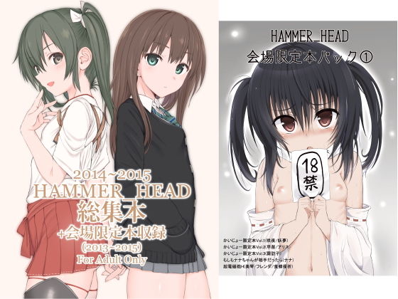 d 183315pl - HAMMER_HEAD総集編Vol.2