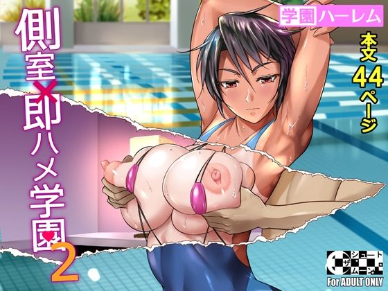 d 208455pl - 側室×即ハメ学園2