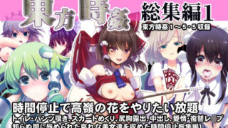 d 208937pl 320x180 - 東方時姦総集編1