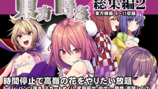 d 208939pl 320x180 - 東方時姦総集編2