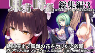 d 208940pl 320x180 - 東方時姦総集編3