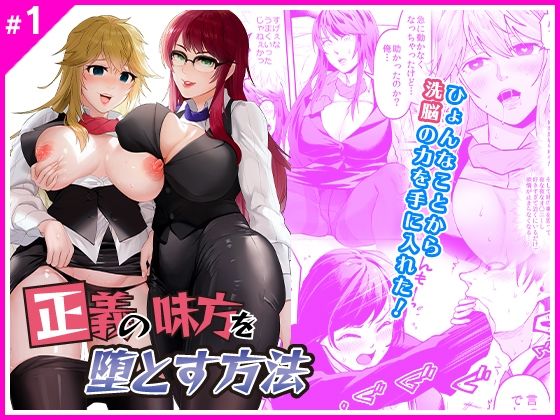 d 211837pl - 正義の味方を堕とす方法