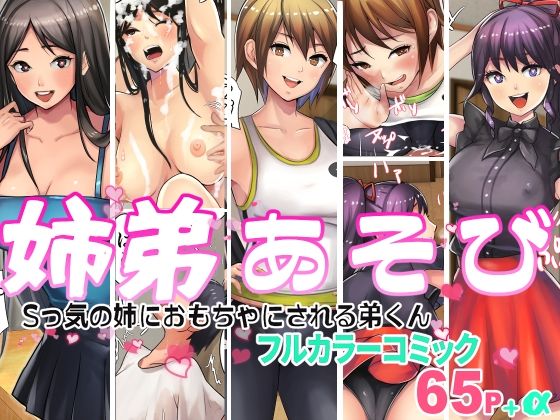 d 278635pl - 姉弟あそび