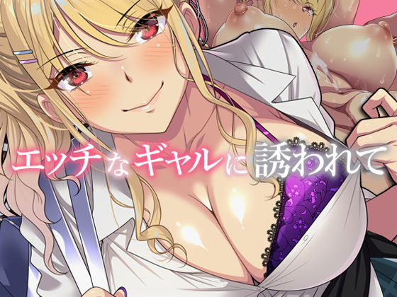 d 281319pl - エッチなギャルに誘われて