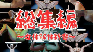 d 301504pl 320x180 - 【お買い得バック】女体解体新書【総集編】